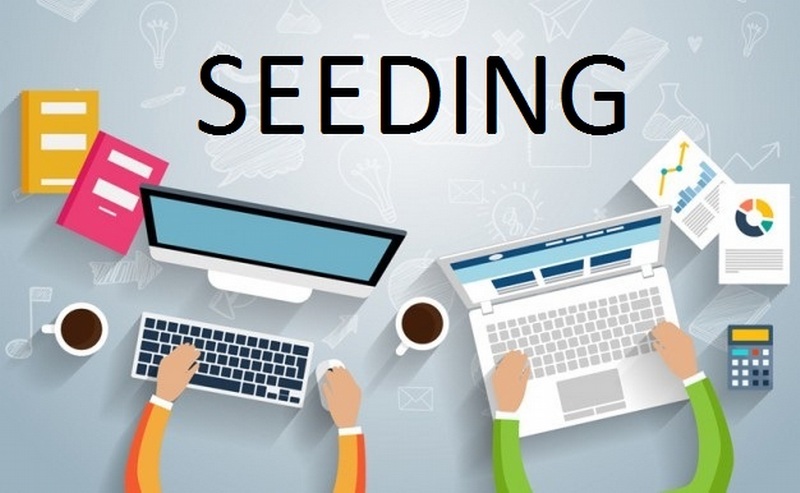 Một số nguyên tắc khi triển khai Seeding