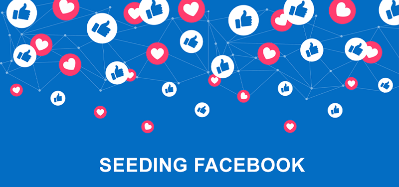 Seeding bằng facebook